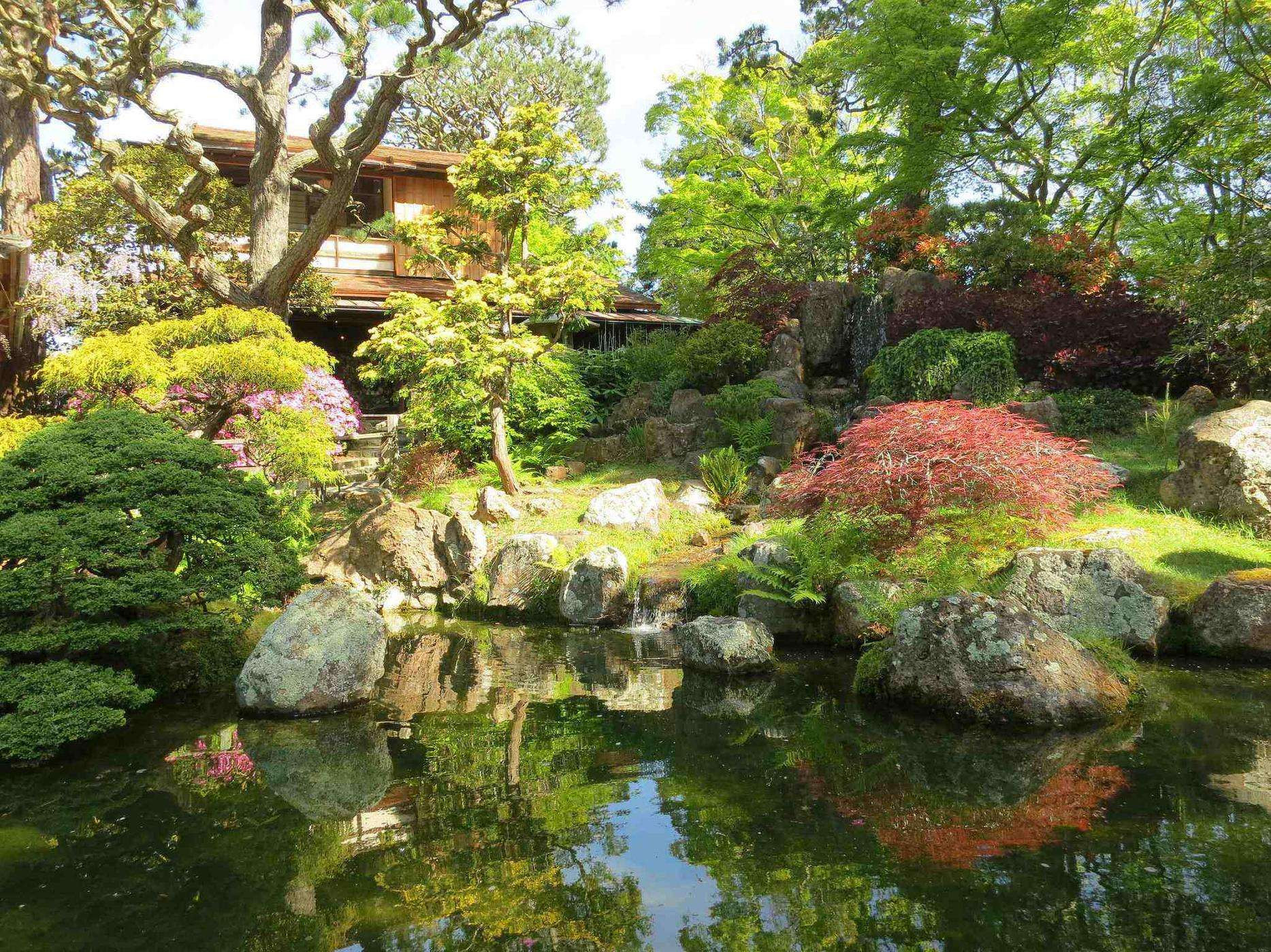 Landscape Design With Japanese Maple
 Working with Japanese maples and bamboo in landscaping