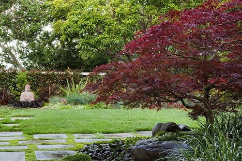 Landscape Design With Japanese Maple
 Asian Landscaping Dos & Dont s Landscaping Network