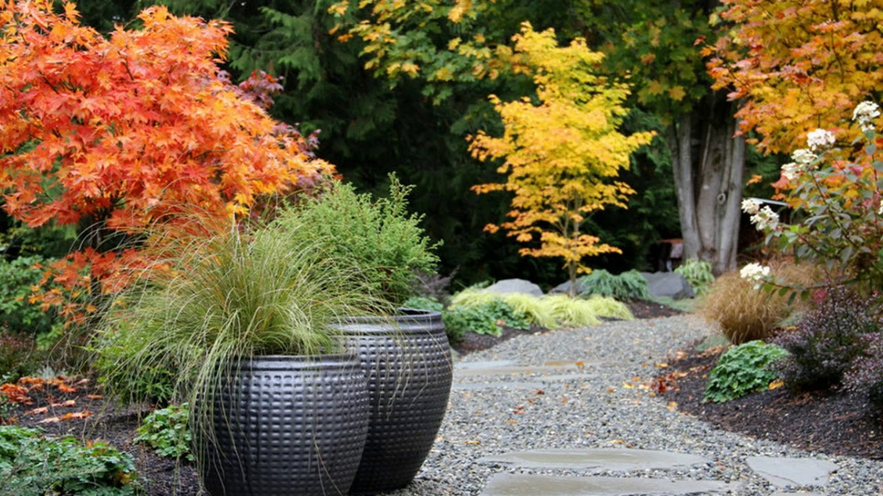 Landscape Design With Japanese Maple
 Garden Design Japanese Maple Garden Design Ideas