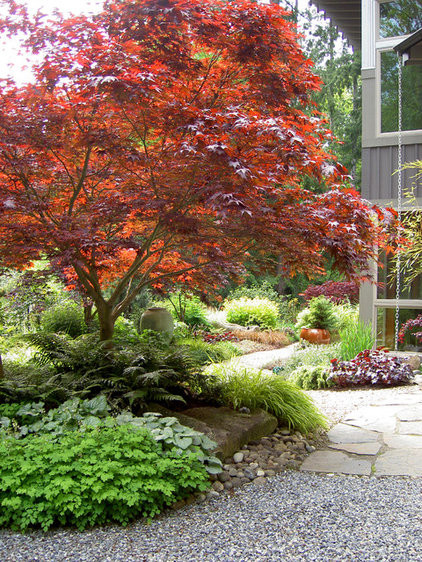 Landscape Design With Japanese Maple
 11 Japanese Maples for Breathtaking Color and Form