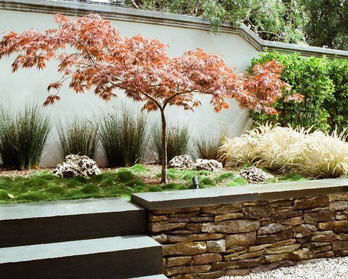 Landscape Design With Japanese Maple
 Japanese Maple Garden Design Ideas & Remodel