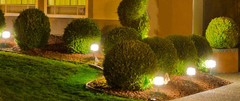 Landscape Lighting Service
 Outdoor Lighting Services