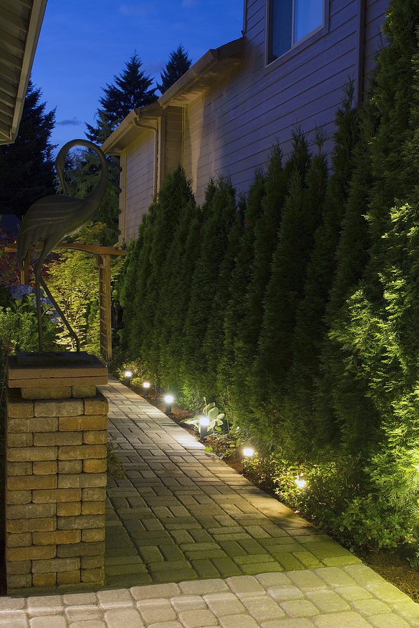 Landscape Path Lighting
 Light the Way With Path Lights This Winter