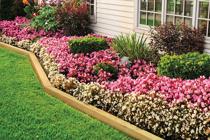 Landscape Timber Edging Ideas
 Landscape Timbers Outdoor Essentials