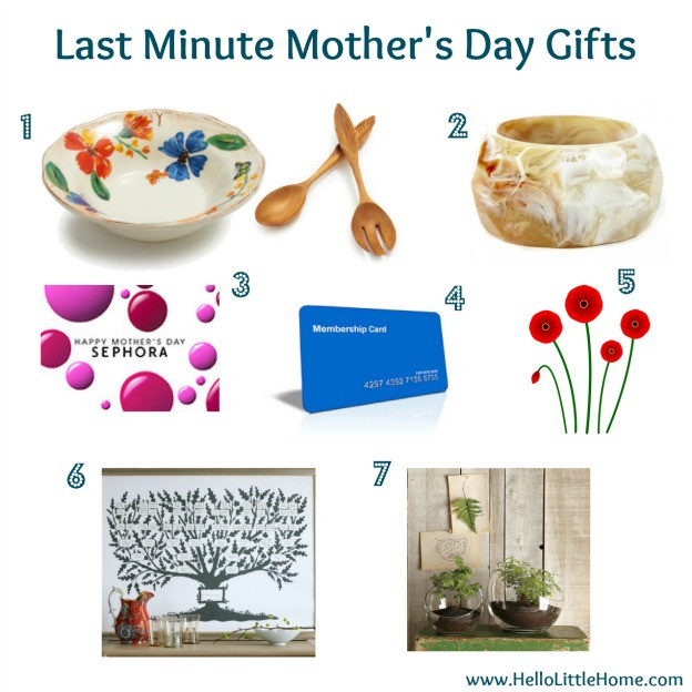 Last Minute Mother's Day Gift
 Last Minute Mother’s Day Gifts