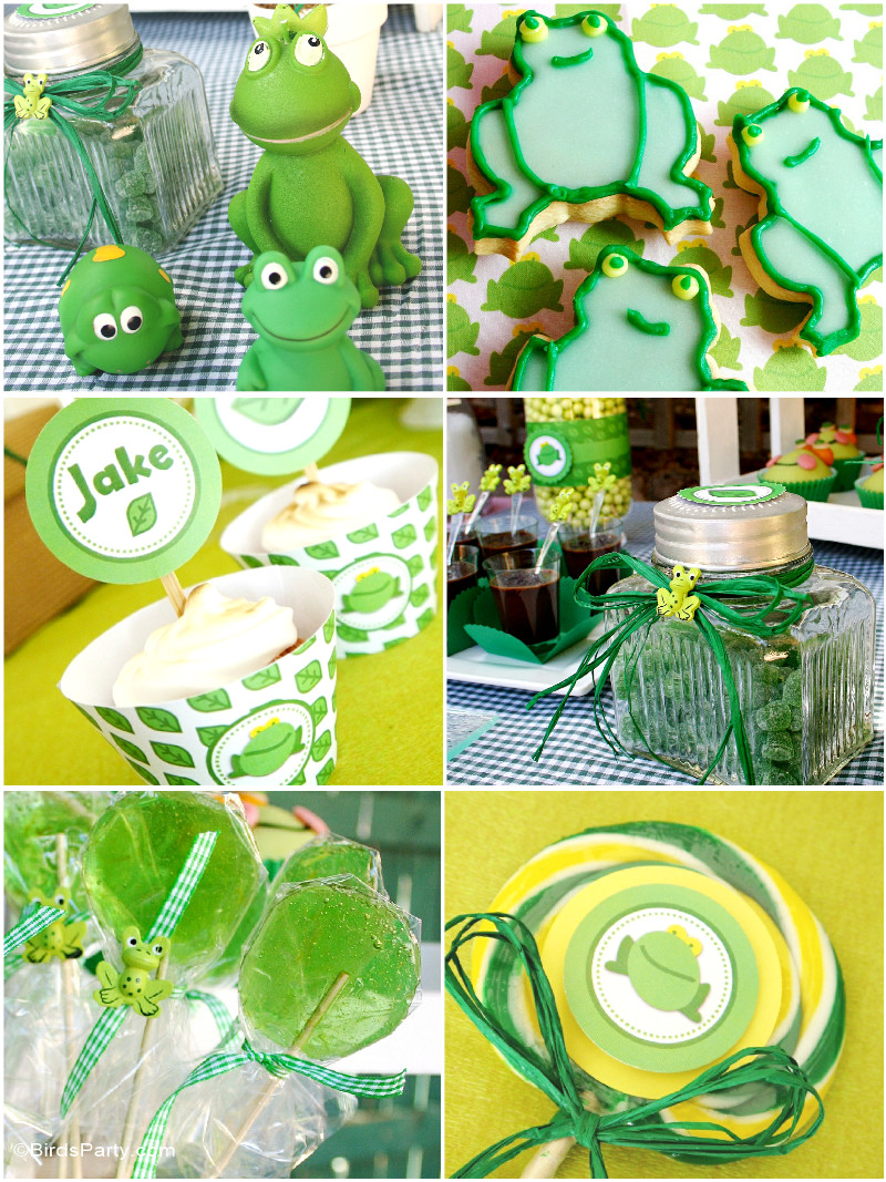 Leap Year Birthday Party Ideas
 Leap Year Frog Themed Party Ideas Party Ideas