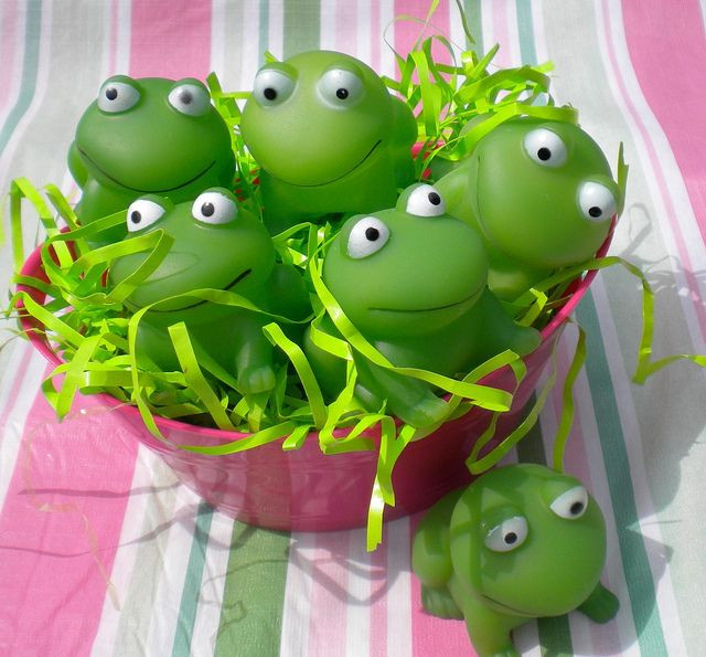 Leap Year Birthday Party Ideas
 Frog Party Supplies Frog Squirters