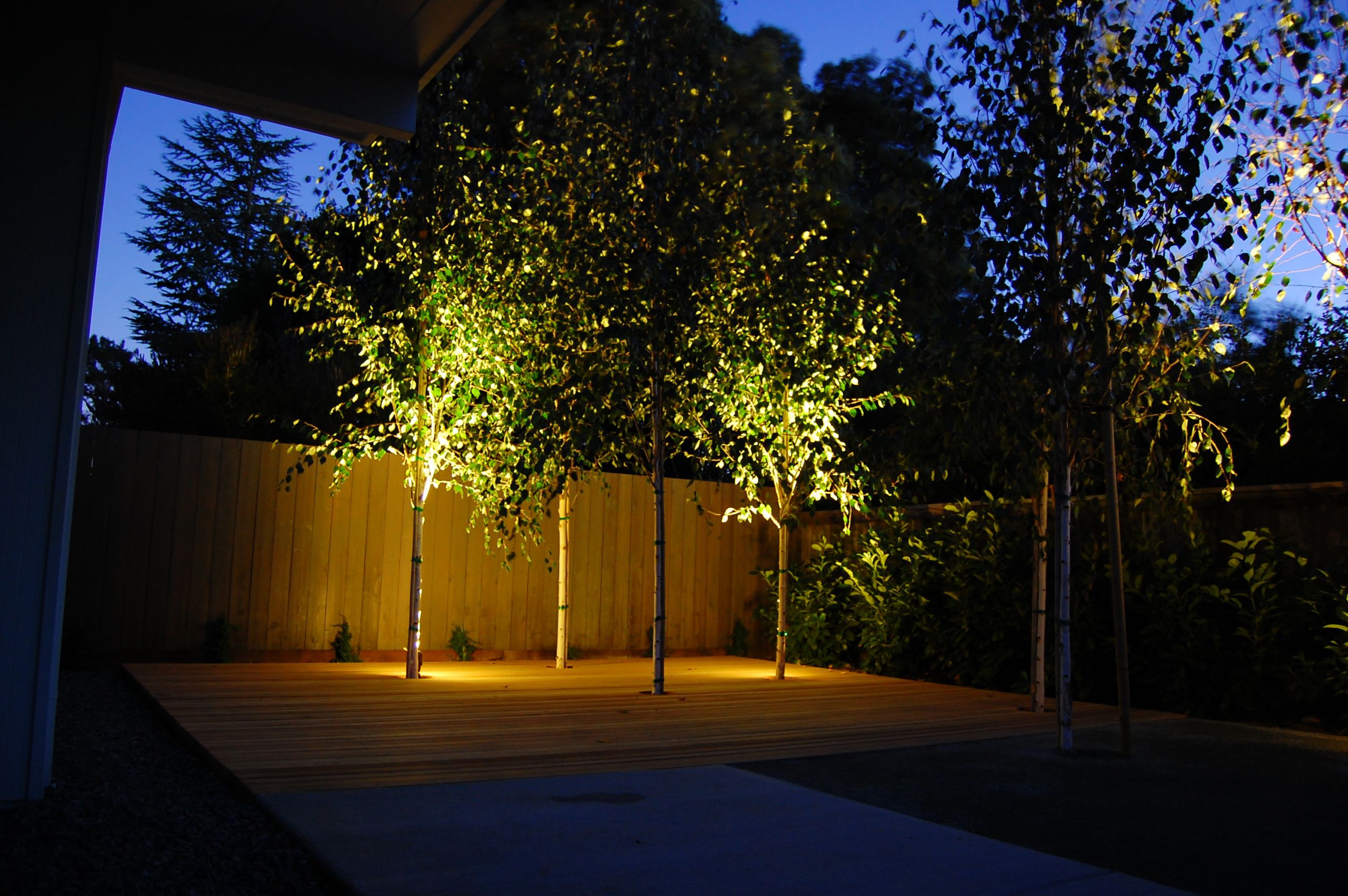 Led Landscape Spotlights
 MINI SS 1W LED INGROUND LIGHTS IP67