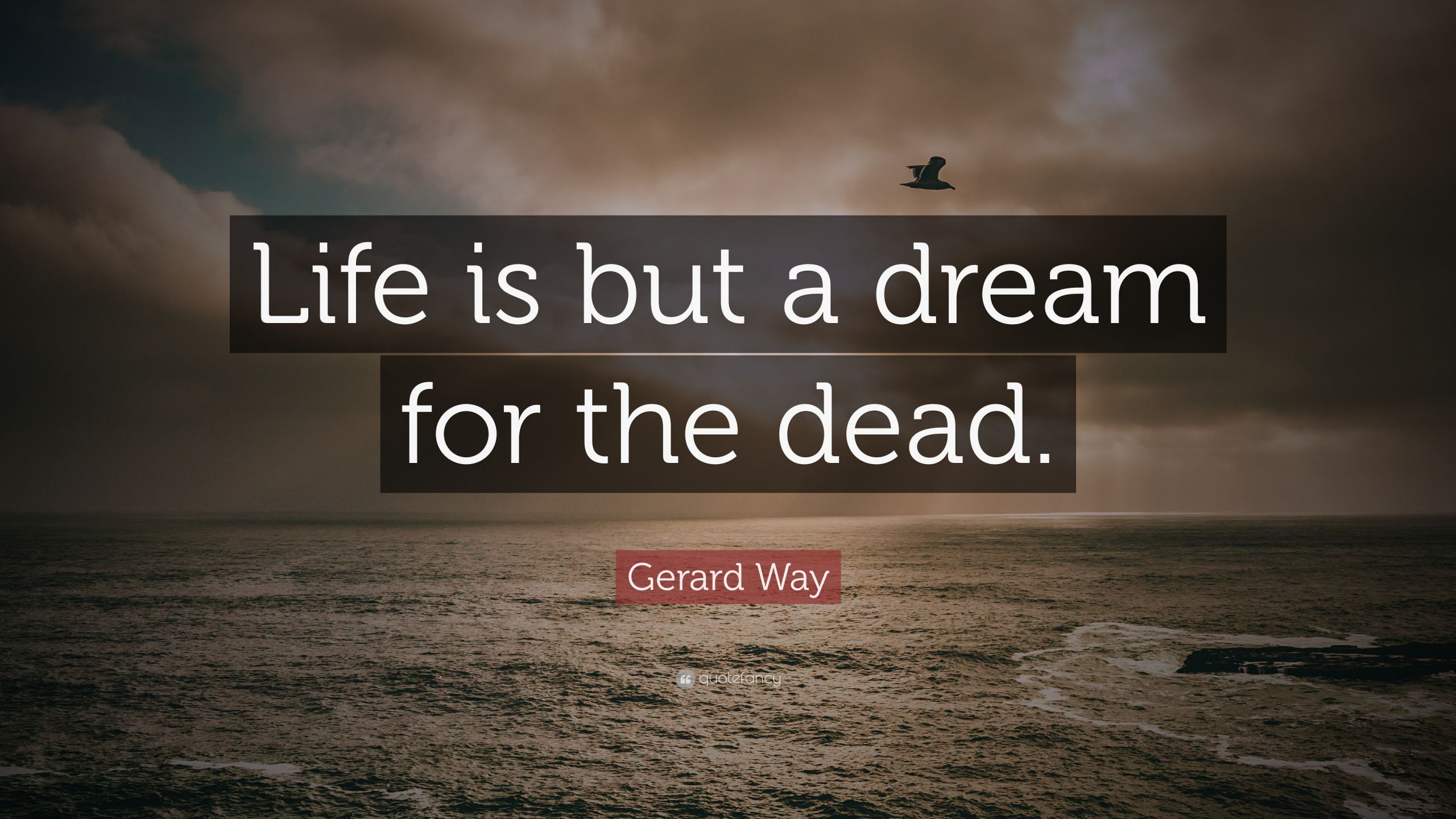 Life Is A Dream Quotes
 Gerard Way Quotes 100 wallpapers Quotefancy