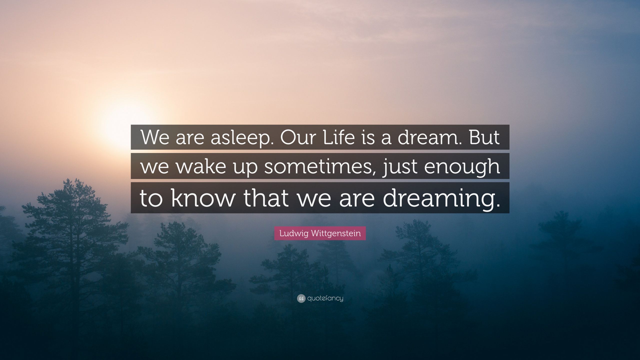 Life Is A Dream Quotes
 Ludwig Wittgenstein Quote “We are asleep Our Life is a