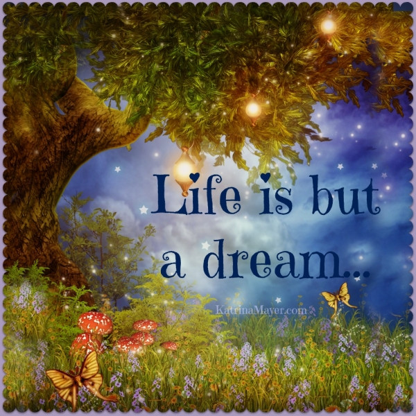 Life Is A Dream Quotes
 life is but a dream