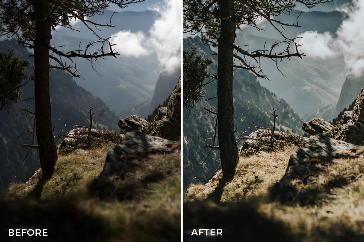 Lightroom Landscape Presets
 Joan Slye Landscape Lightroom Presets FilterGrade