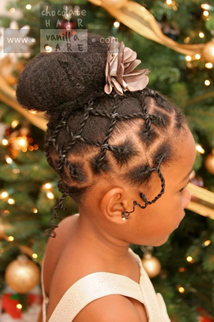 Little Black Girl Natural Hairstyles
 355 best African Princess Little Black Girl Natural Hair