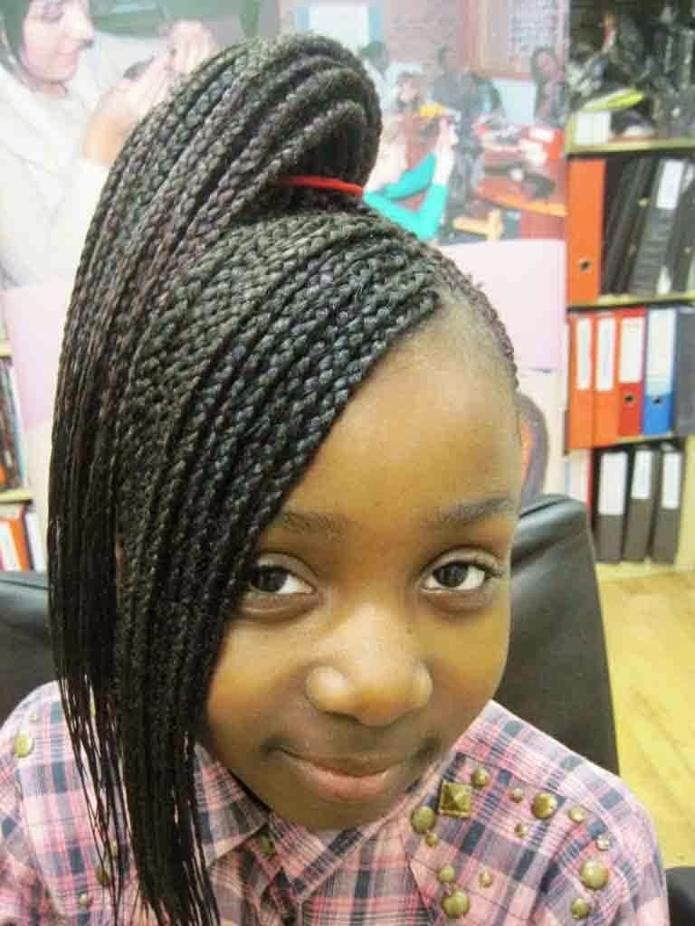 Little Girls Hairstyles Braids
 64 Cool Braided Hairstyles for Little Black Girls – HAIRSTYLES