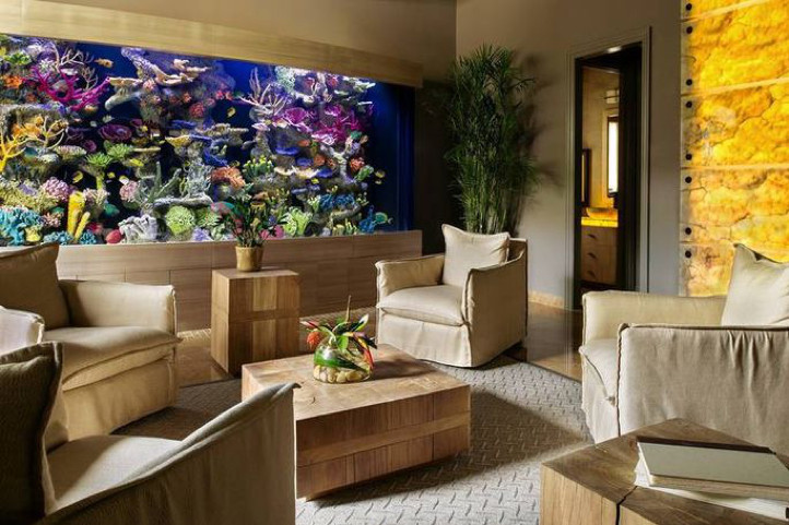 Living Color Aquarium
 Deep Dive into Residential Water Savings • Alex • Gilbert
