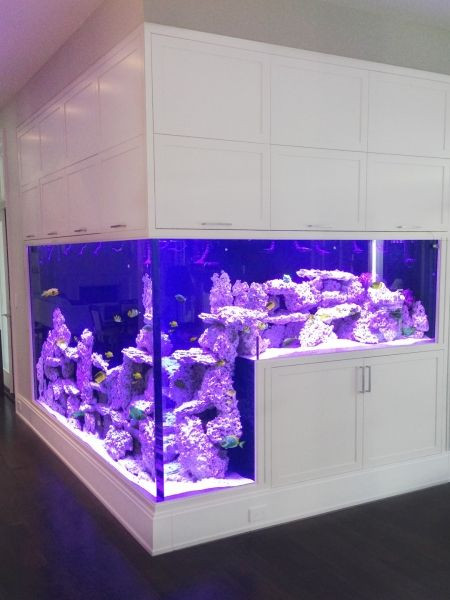 Living Color Aquarium
 Custom Residential Aquarium that wraps around the