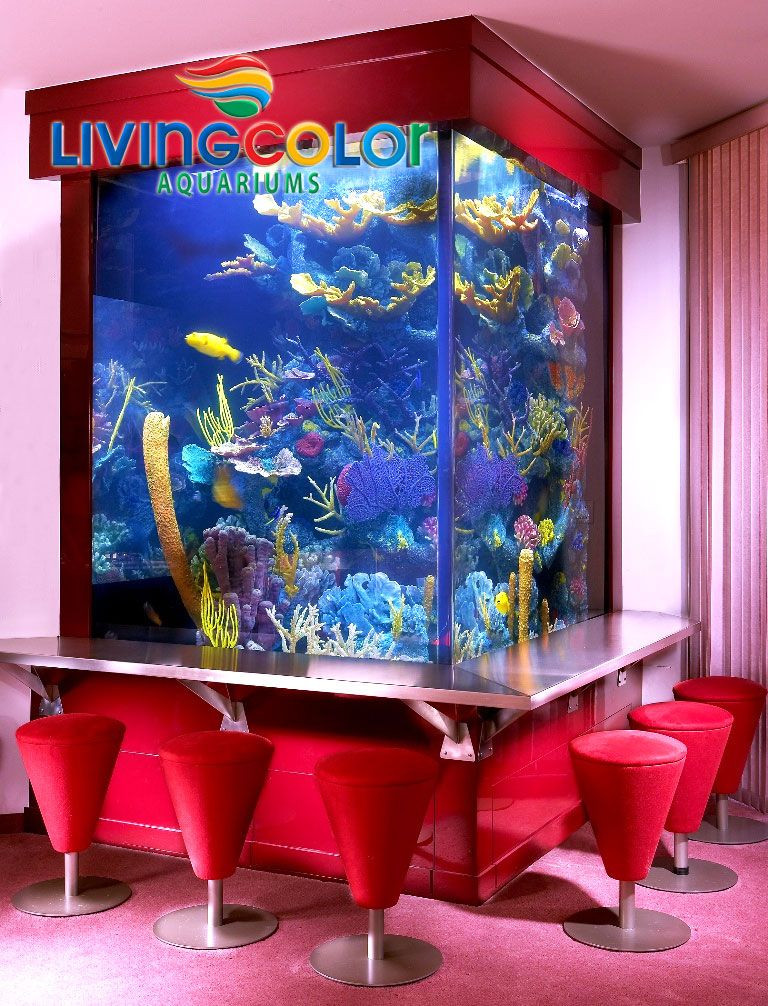 Living Color Aquarium
 Living Color Aquariums is recognized worldwide for