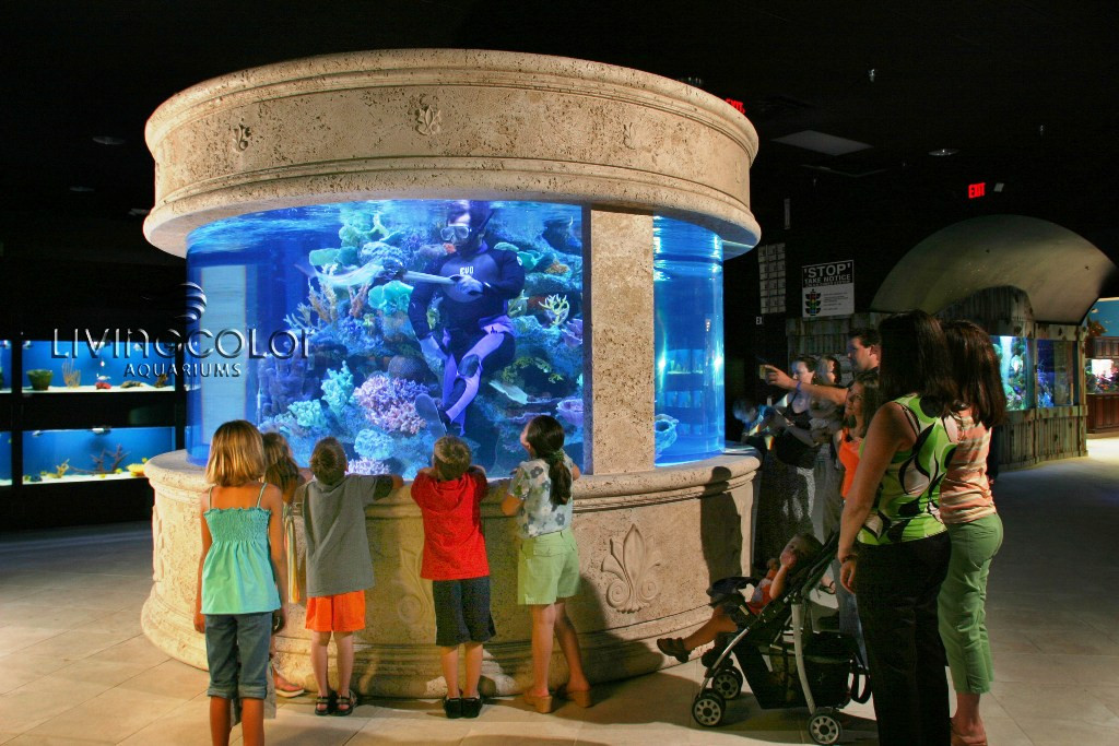 Living Color Aquarium
 Nation s st Aquarium Store Closes