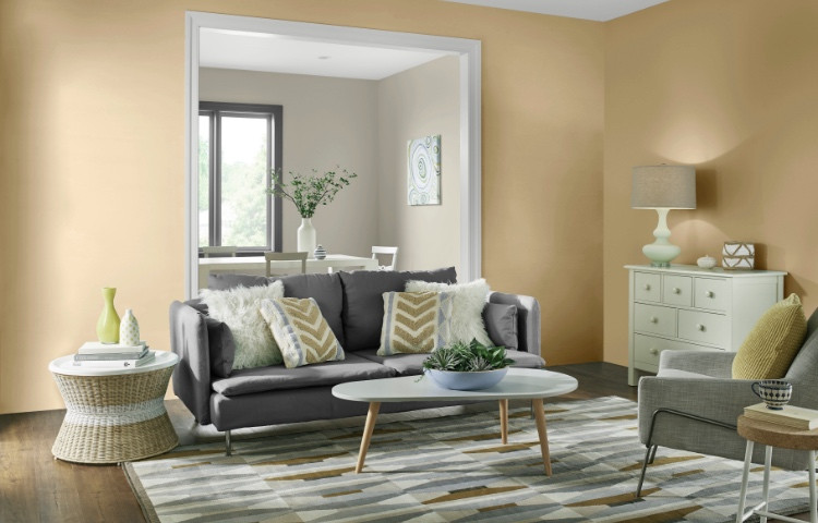 Living Room Color Paint
 Living Room Paint Colors The Home Depot