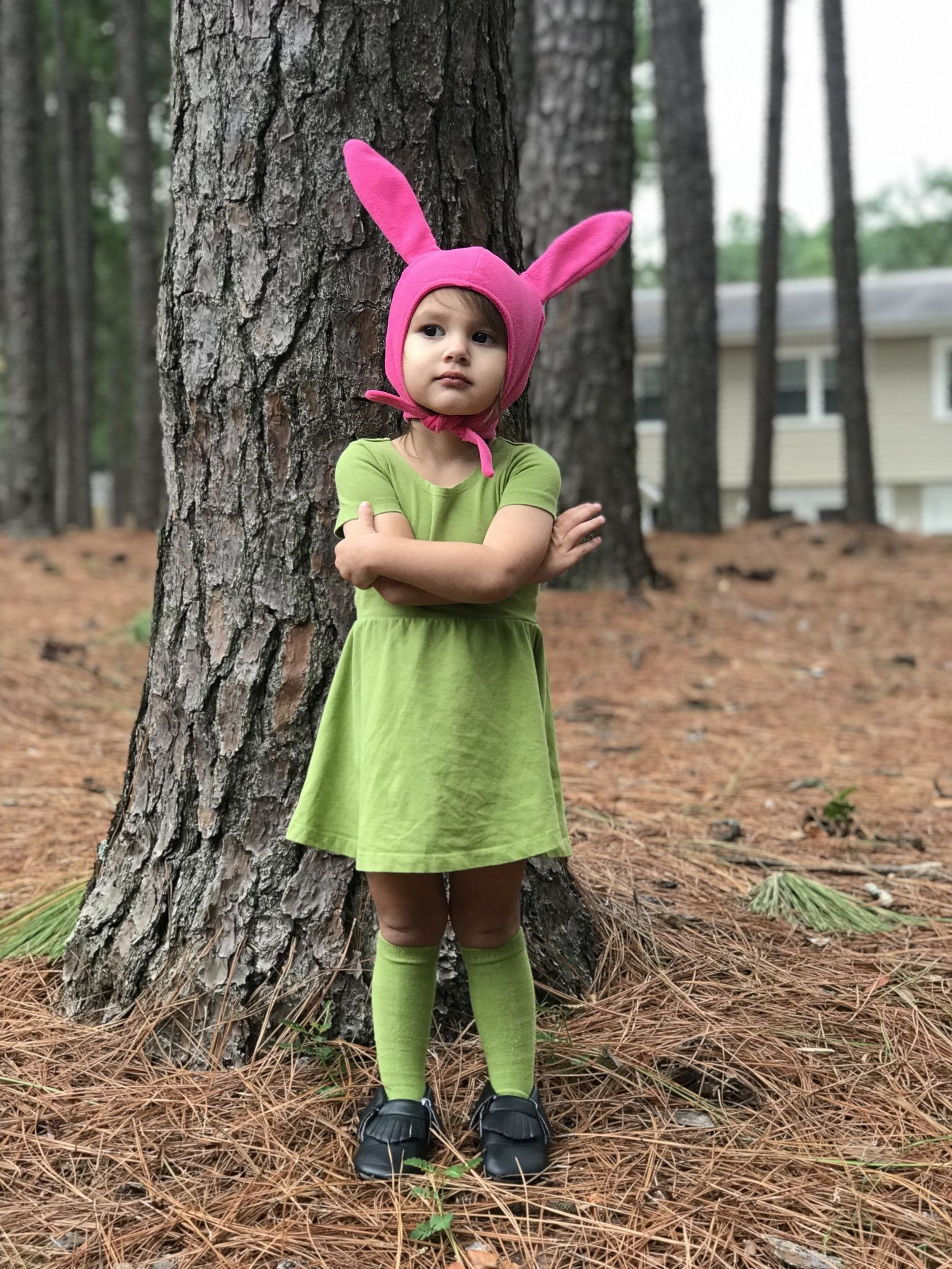 Louise Belcher Costume DIY
 Bobs Burgers Louise Belcher Costume DIY Sibling