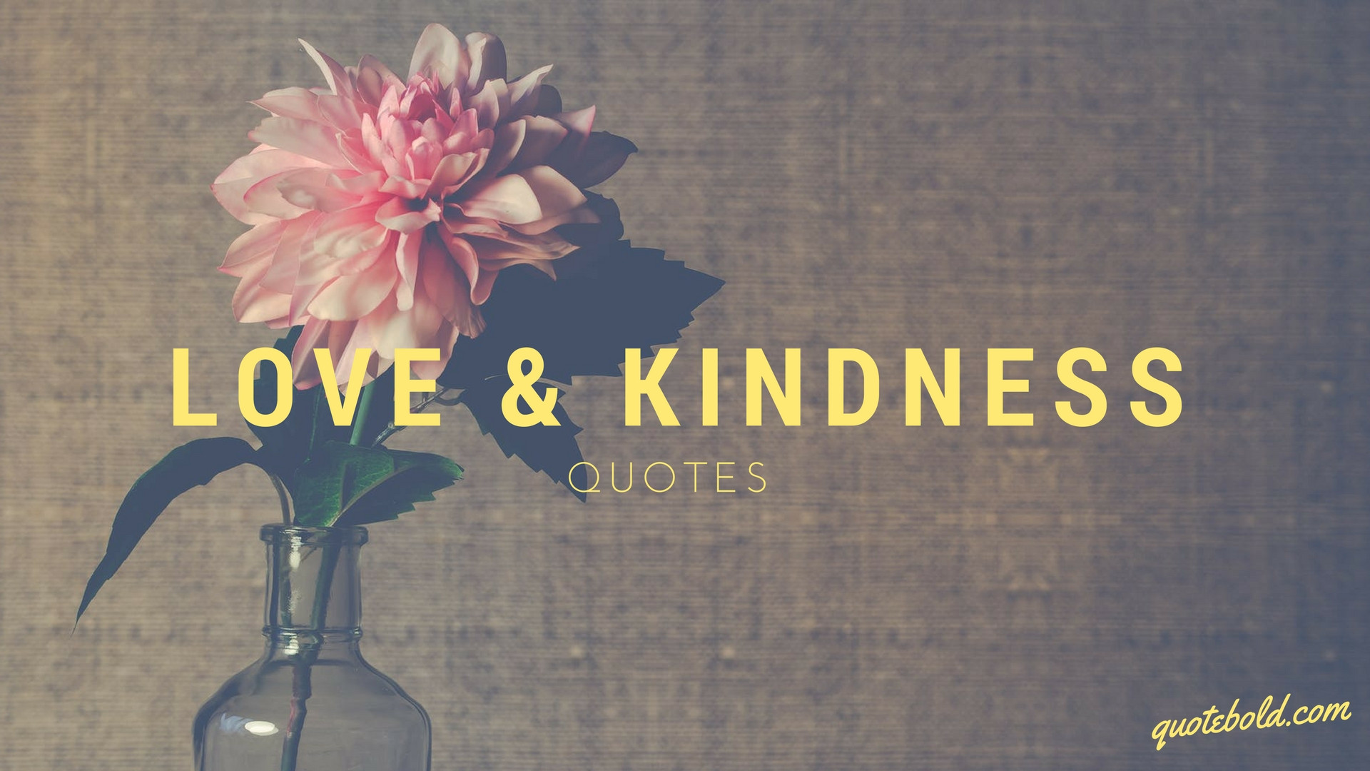 Love And Kindness Quotes
 41 Love & Kindness Quotes with QuoteBold