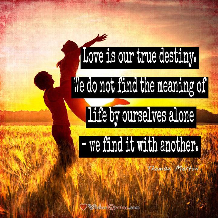 Love Destiny Quotes
 What is love 10 Definitions and Quotations By