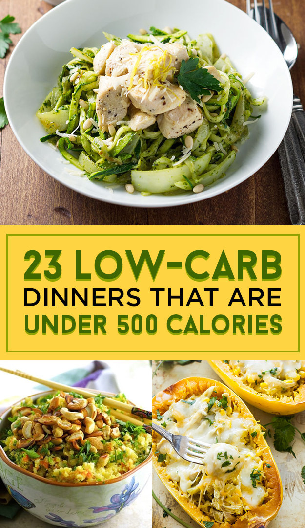 Low Cal Low Carb Recipes
 23 Low Carb Dinners Under 500 Calories That Actually Look