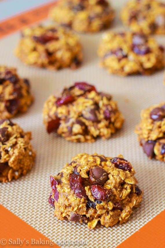 Low Calorie Pumpkin Cookies
 Favorite Pumpkin Oatmeal Cookies Sallys Baking Addiction