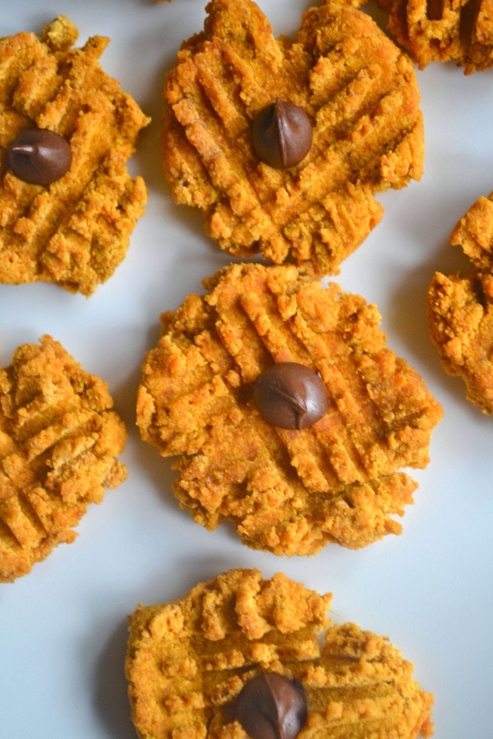 Low Calorie Pumpkin Cookies
 Best 30 Low Calorie Pumpkin Cookies Best Round Up Recipe