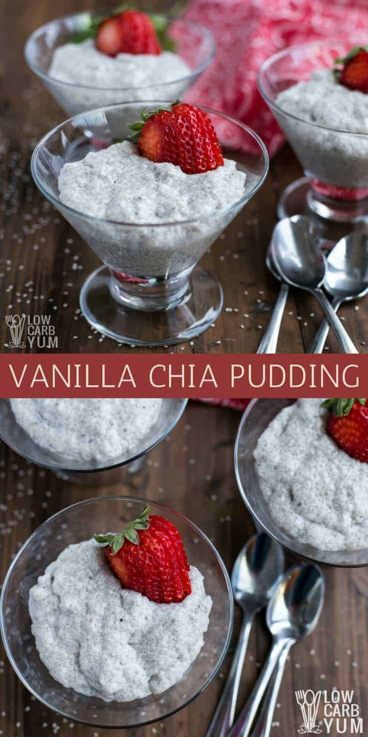 Low Carb Chia Seed Recipes
 Keto Chia Seed Pudding Vanilla Flavored