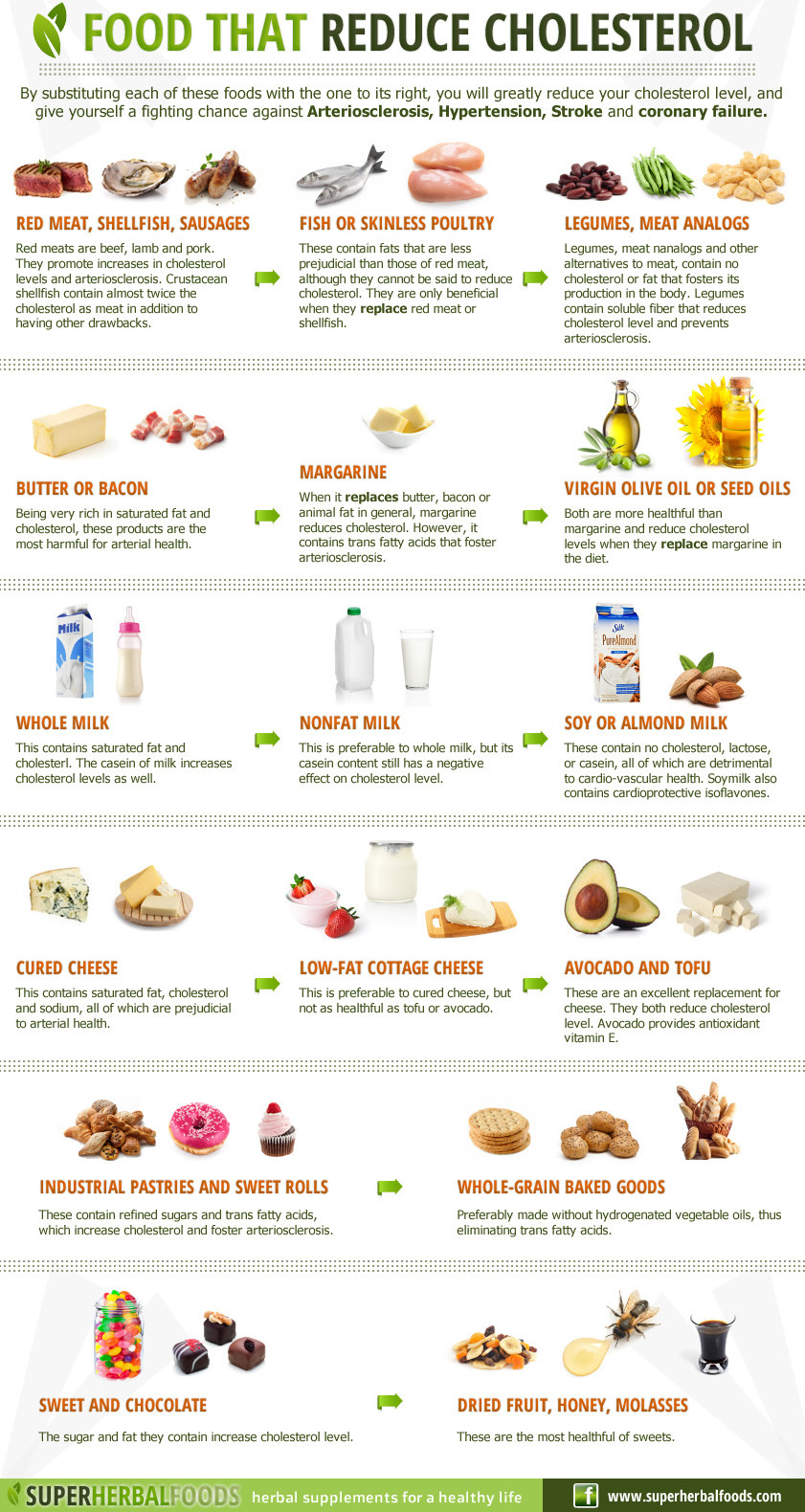 Low Cholesterol Diet Recipes
 Infographic Cholesterol Lowering Foods