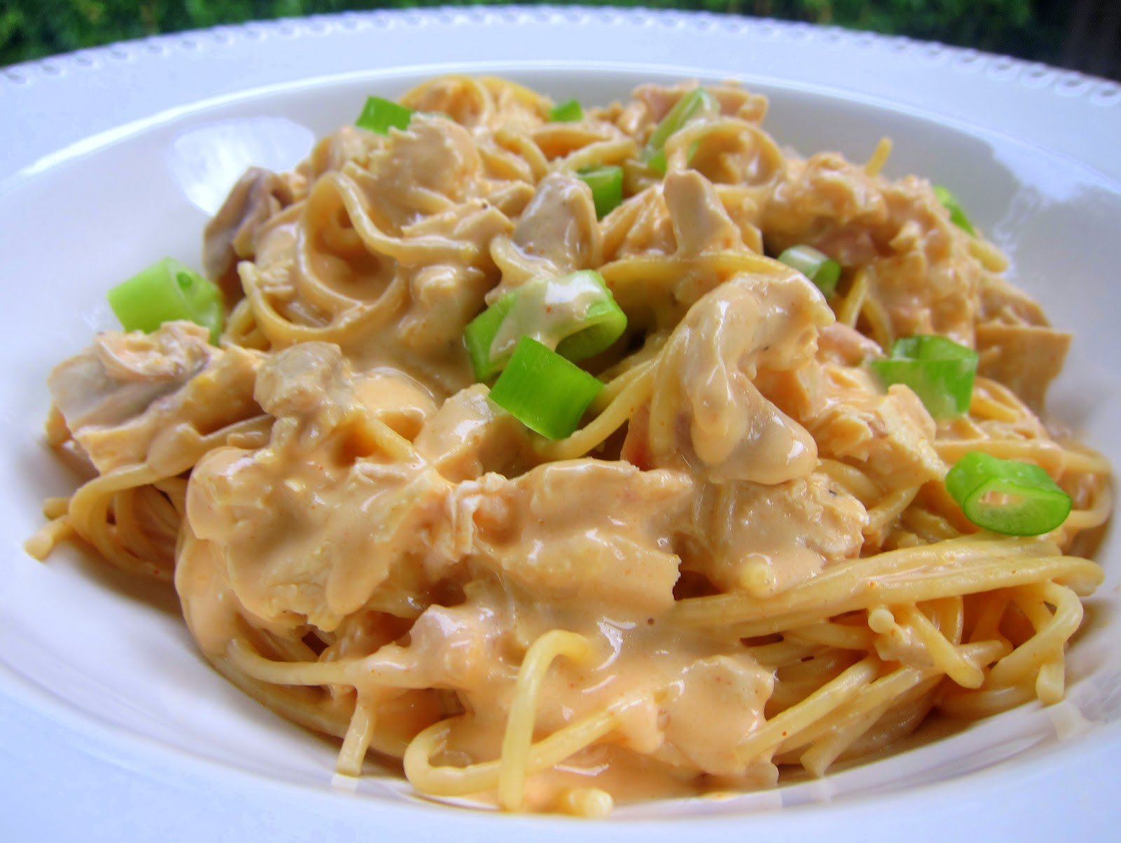 Low Fat Chicken Pasta Recipes
 Buffalo Chicken Spaghetti