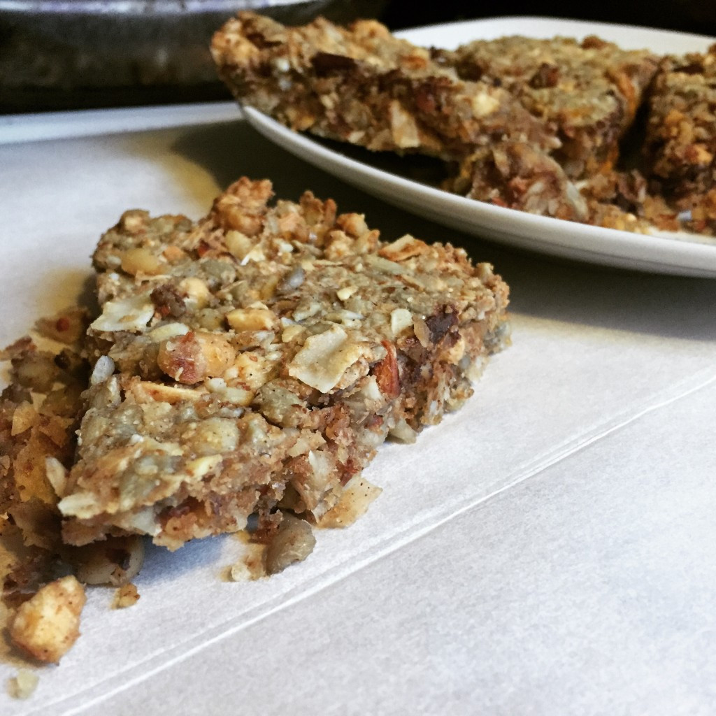 Low Fat Keto Recipes
 Low Carb Granola Bar Fat Bombs WickedStuffed Keto Recipe