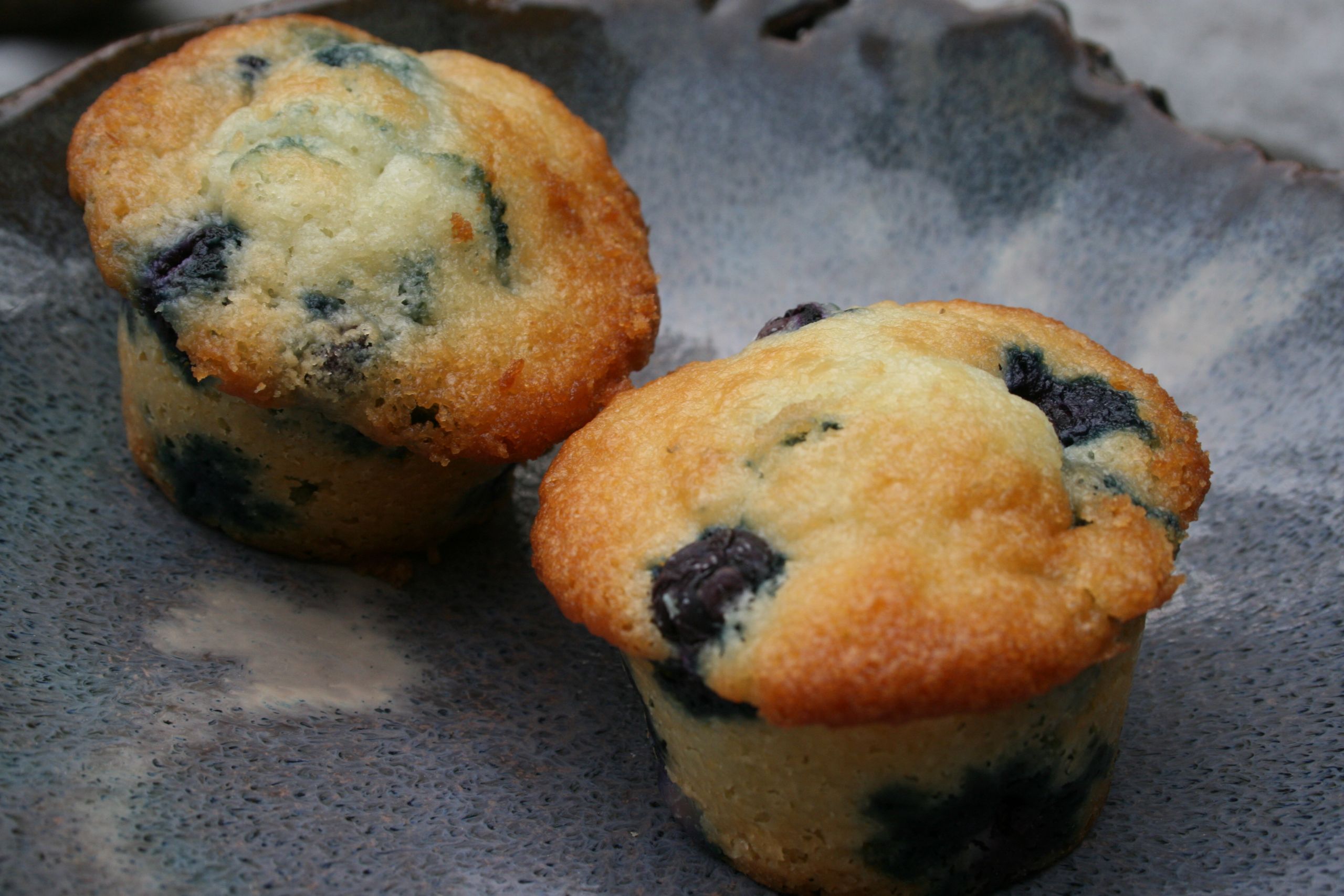 Low Fat Muffin Recipes
 Best Low Fat Blueberry Muffins