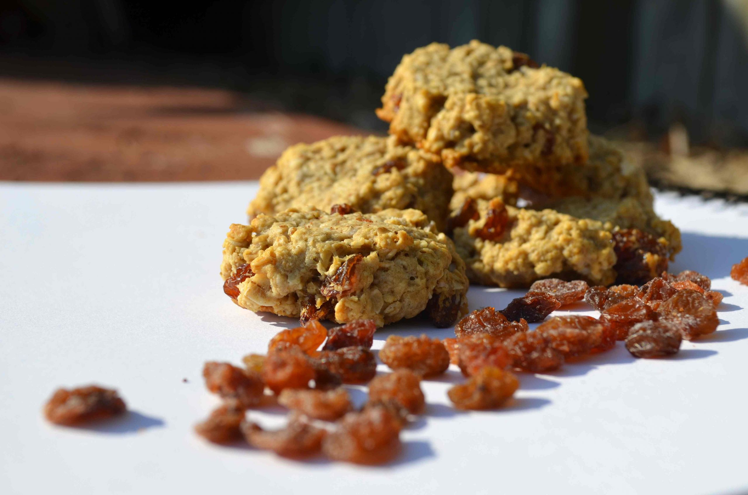 Low Fat Oatmeal Raisin Cookies
 Sugar Free Low Fat Low Carb Mini Oatmeal Raisin Cookies