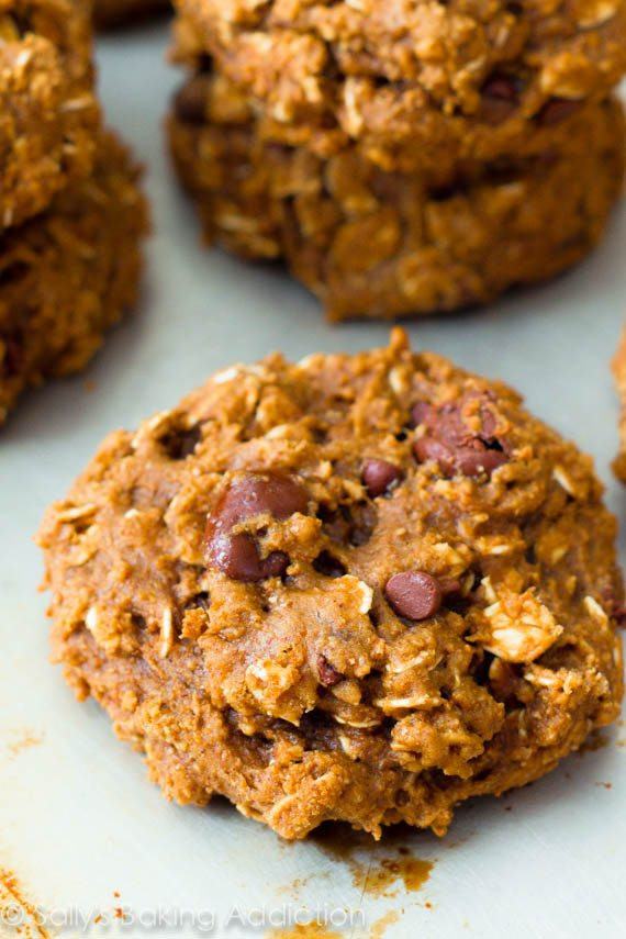 Low Fat Oatmeal Raisin Cookies
 Healthy Oatmeal Raisinet Cookies Sallys Baking Addiction