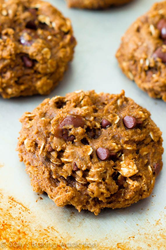 Low Fat Oatmeal Raisin Cookies
 Healthy Oatmeal Raisinet Cookies Sallys Baking Addiction