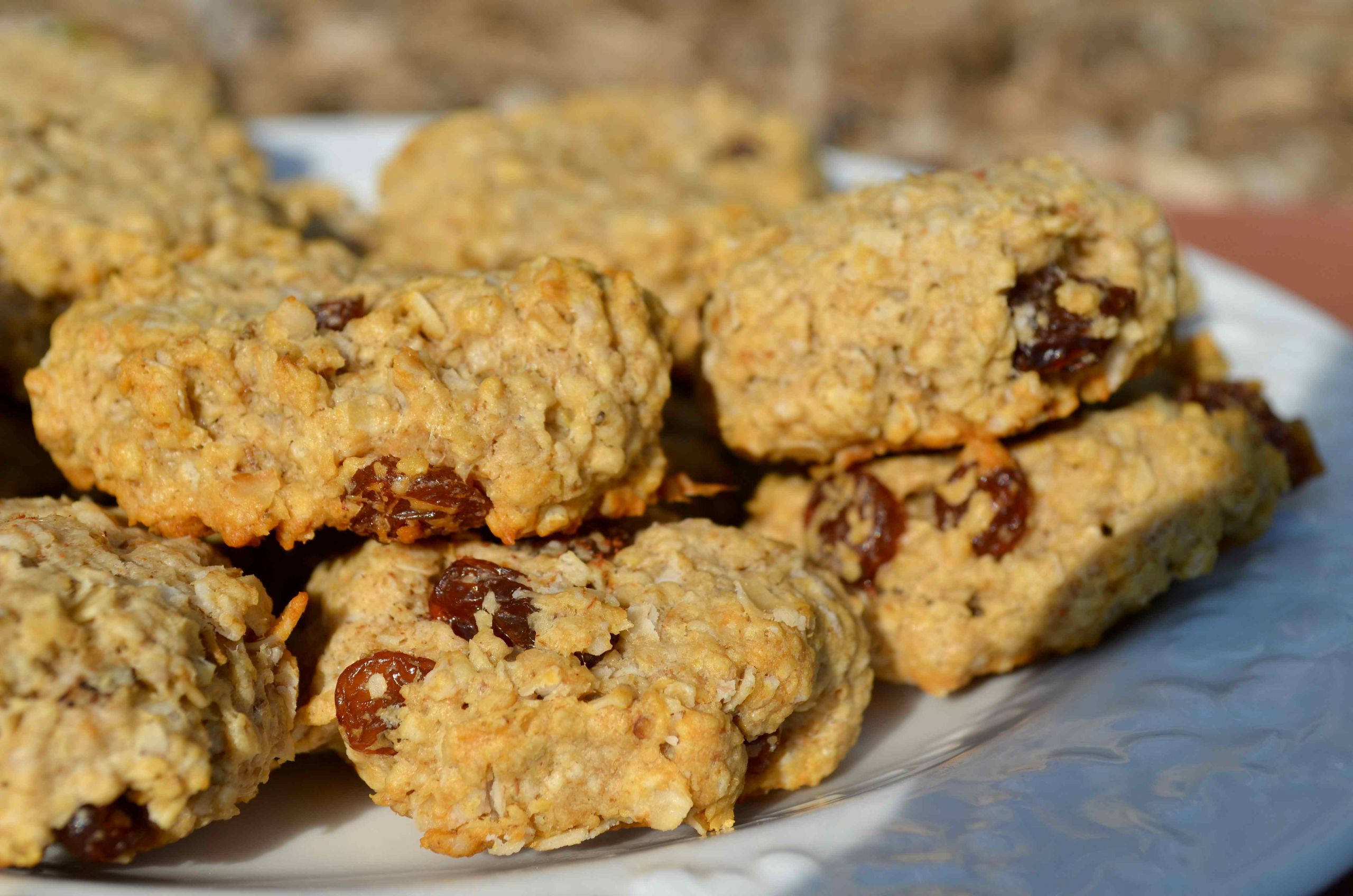 Low Fat Oatmeal Raisin Cookies
 Sugar Free Low Fat Low Carb Mini Oatmeal Raisin Cookies