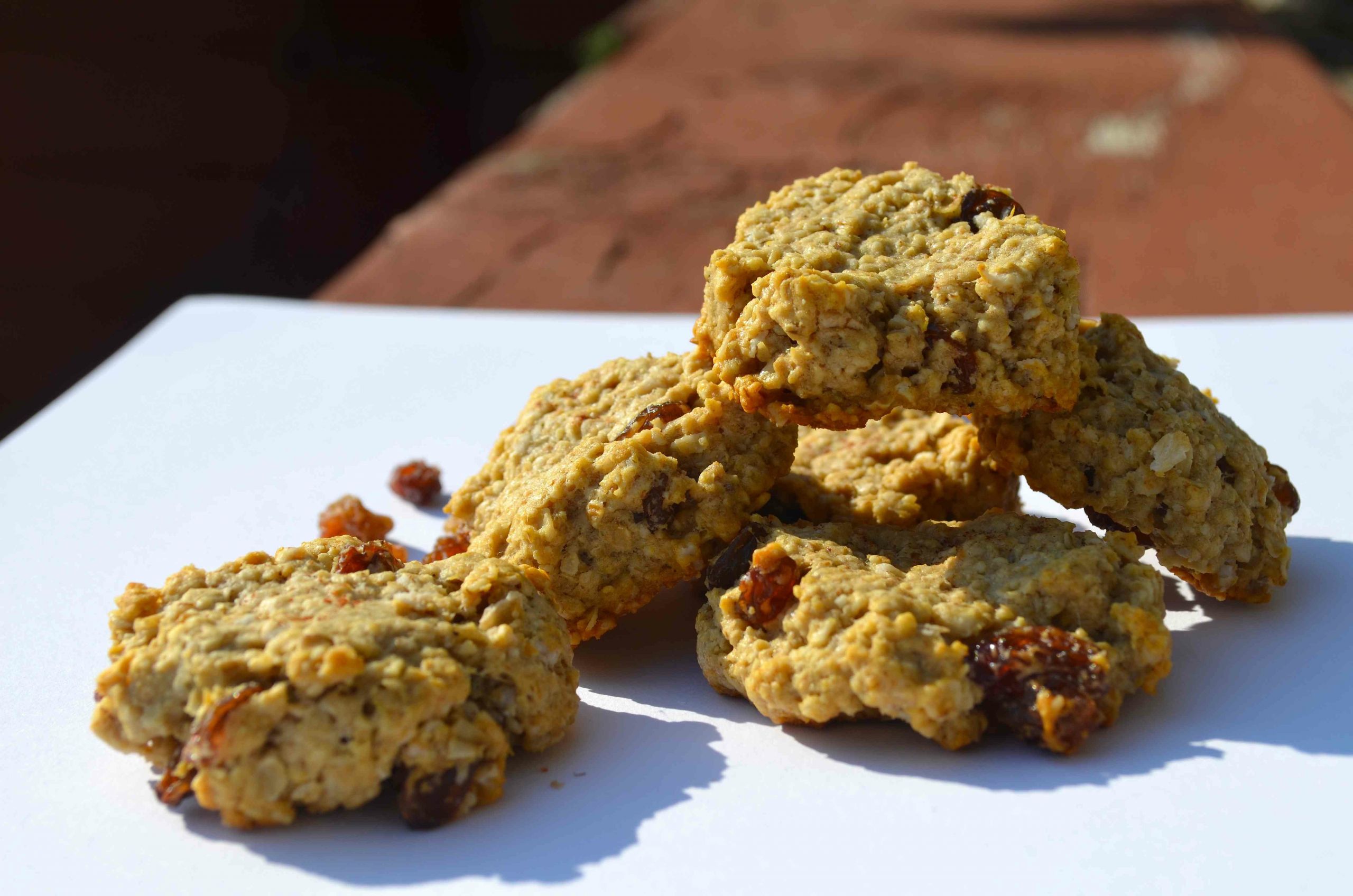 Low Fat Oatmeal Raisin Cookies
 Sugar Free Low Fat Low Carb Mini Oatmeal Raisin Cookies