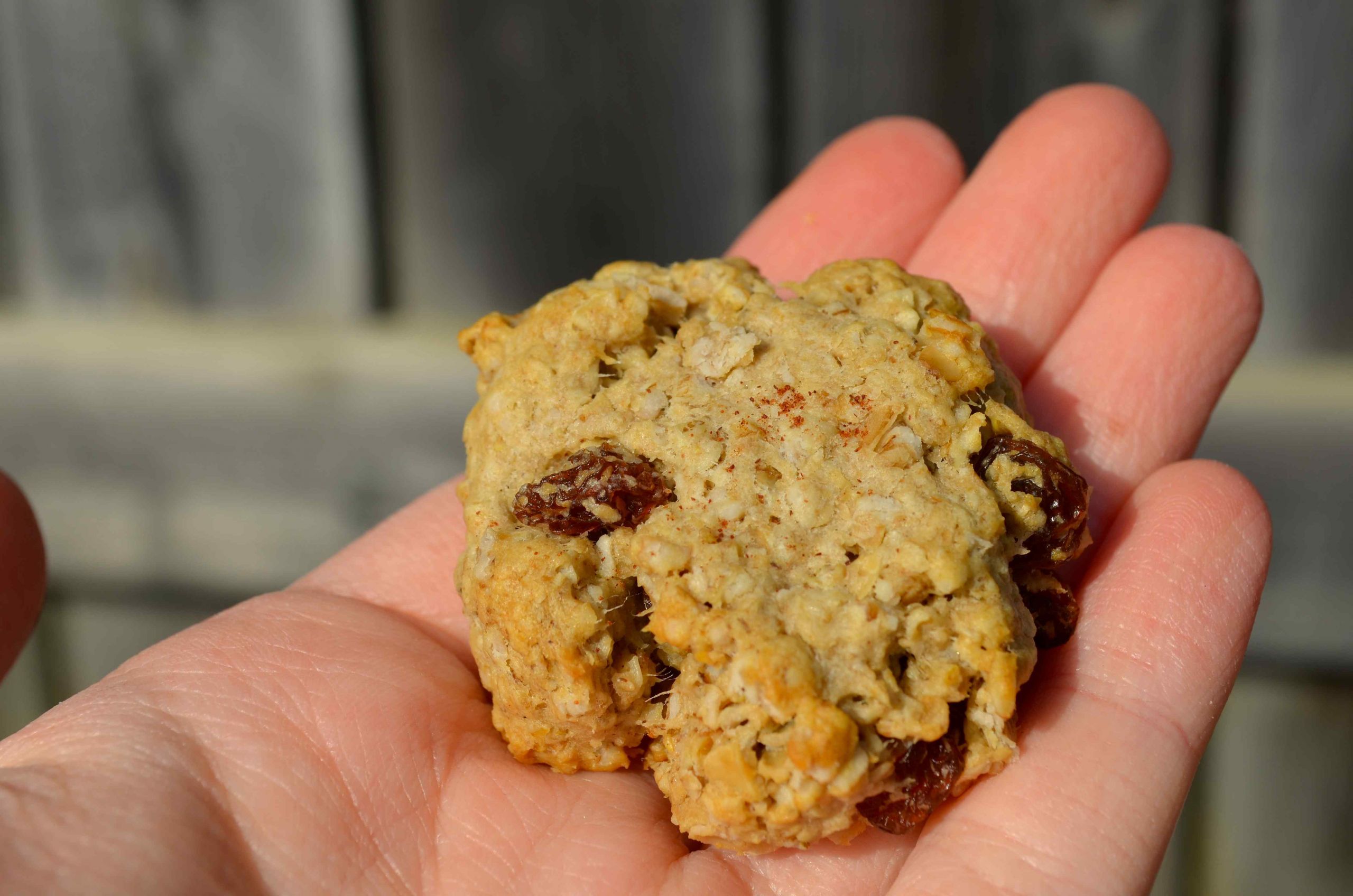 Low Fat Oatmeal Raisin Cookies
 Sugar Free Low Fat Low Carb Mini Oatmeal Raisin Cookies