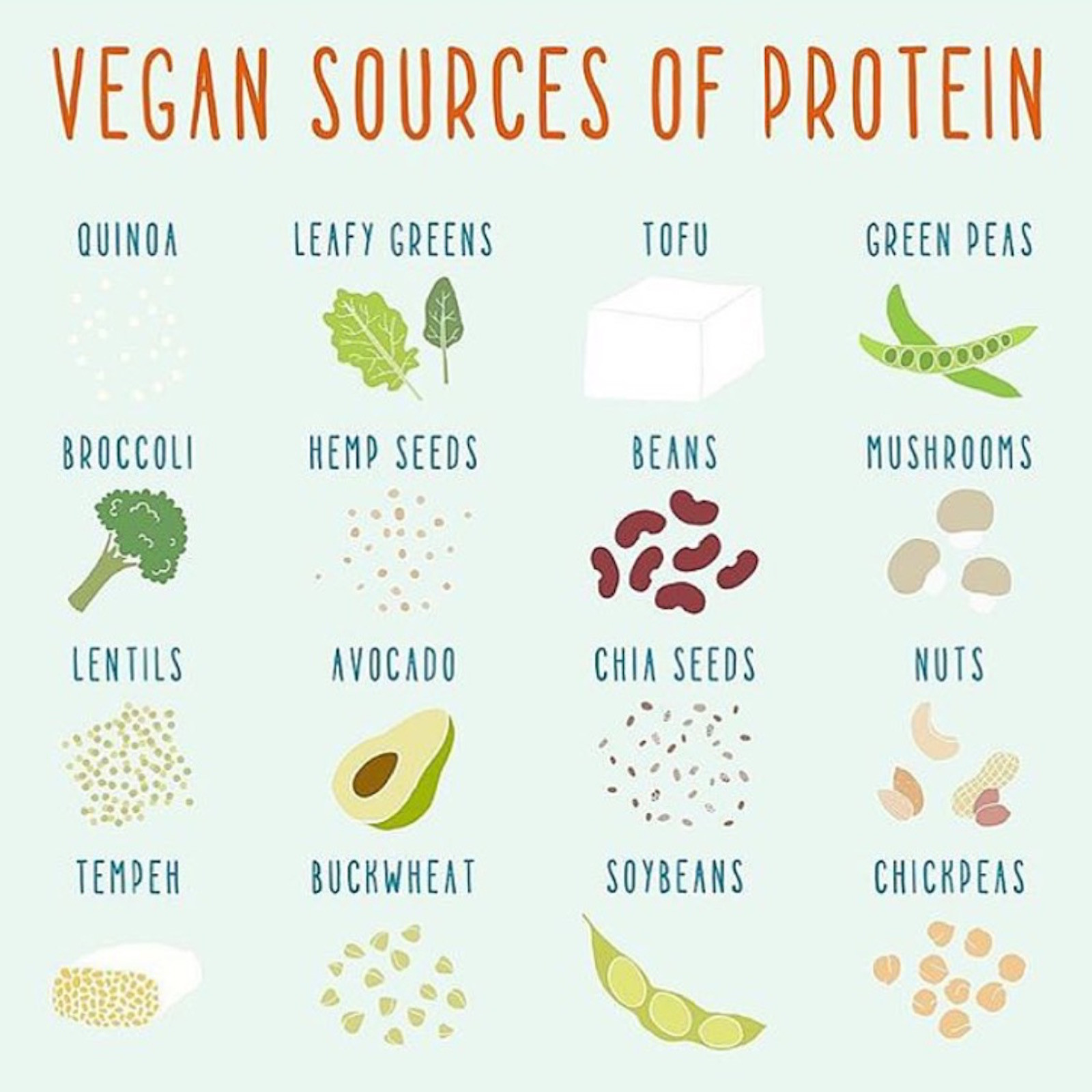 Low Fat Vegetarian Protein
 The Best Ideas for Low Fat Ve arian Protein Best Round