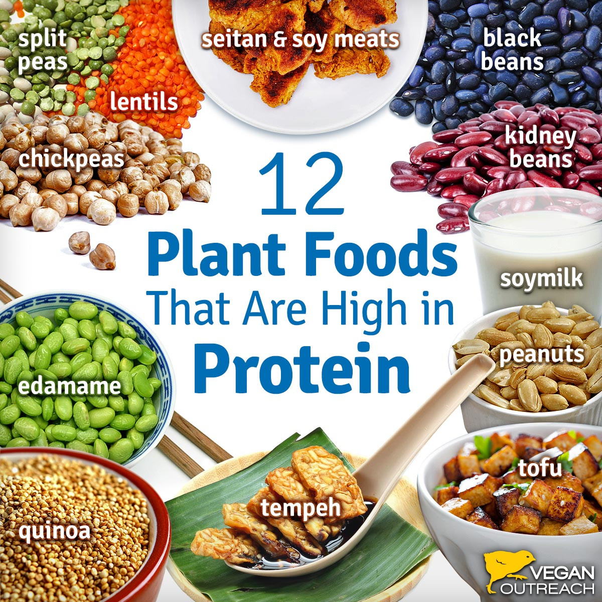 Low Fat Vegetarian Protein
 Vegan Protein Sources Familiar and Unique