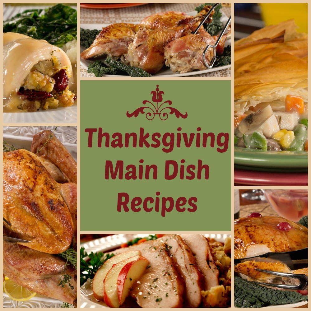 Main Dishes For Dinner
 Thanksgiving Main Dishes Recipes 6 Delicious Diabetic