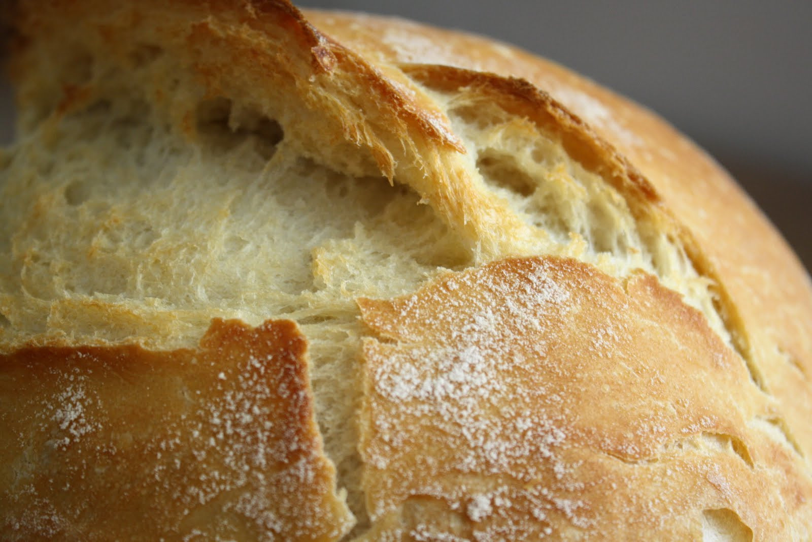 Make Sourdough Bread
 kelly ann Homemade Sourdough Bread