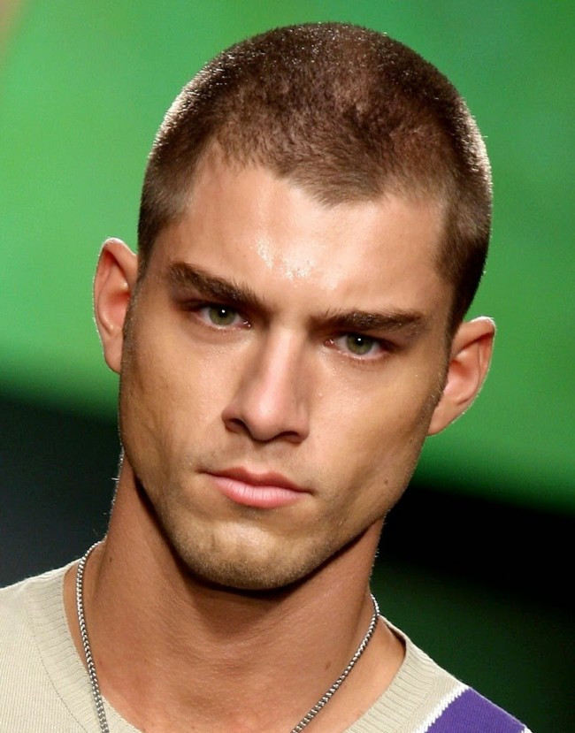 Mens Buzzed Hairstyles
 Buzz Cut Hairstyle