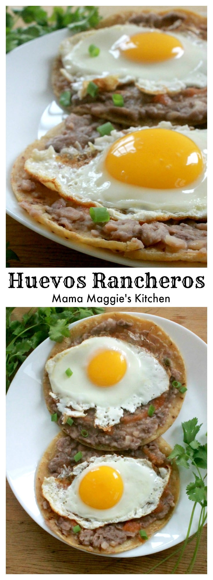 Mexican Brunch Recipes
 Huevos Rancheros An Authentic Mexican Breakfast Recipe