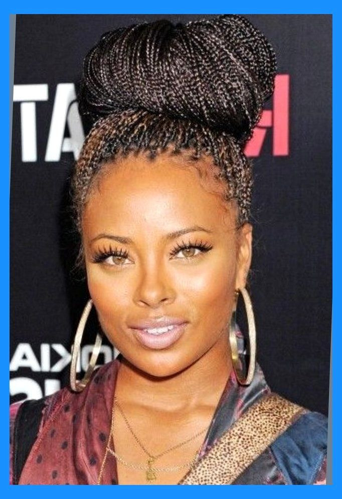 Micro Braids Hairstyles Updos
 Micro Braids Updo Hairstyles Actual Hairstyles Micro