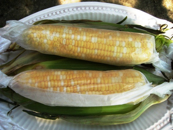 Microwave Corn In Husk
 microwave corn on the cob without husk recipe