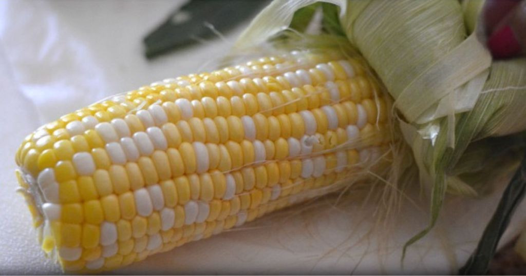 Microwave Shucked Corn On The Cob
 Corn on the Cob How to Shuck & Cook in Under 5 Minutes