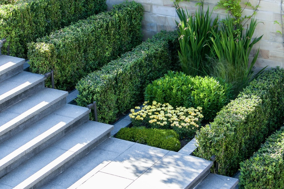 Modern Outdoor Landscape
 How to Add Modern Elements to Your Landscape Design